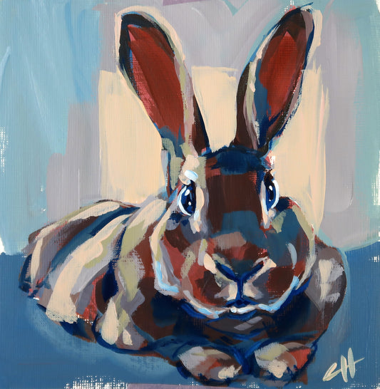 May Rabbit No. 7