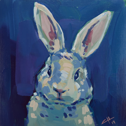 May Rabbit No. 8